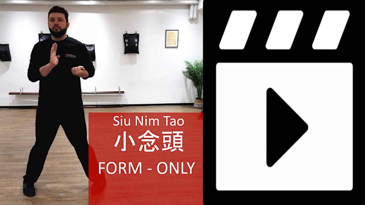 wing-chun-ving-tsun-siu-nim-tao-trainer-wingtsun-online-training-video